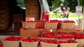 How SNAP Works at Farmers Markets—and Why You Should Use It