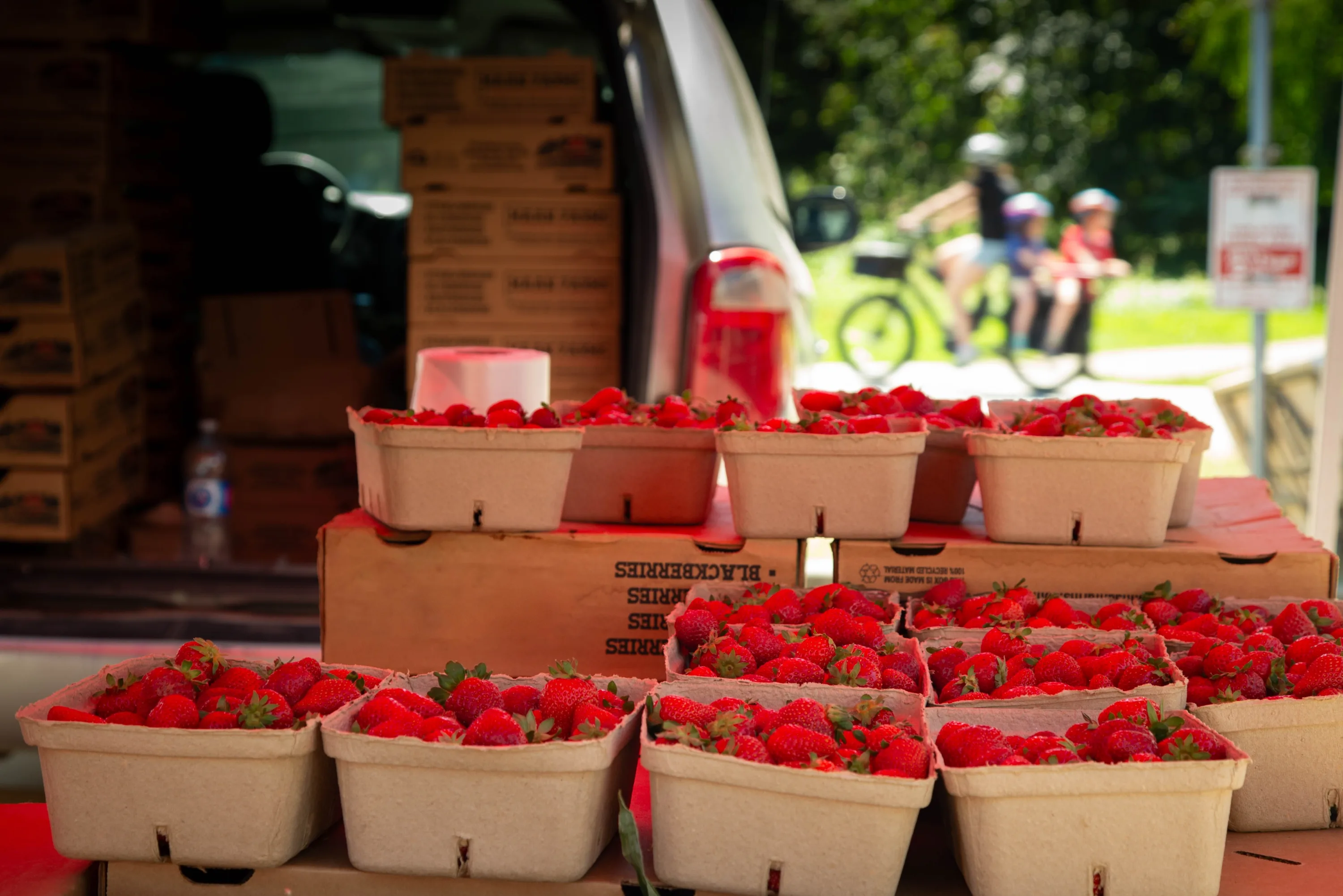 How SNAP Works at Farmers Markets—and Why You Should Use It